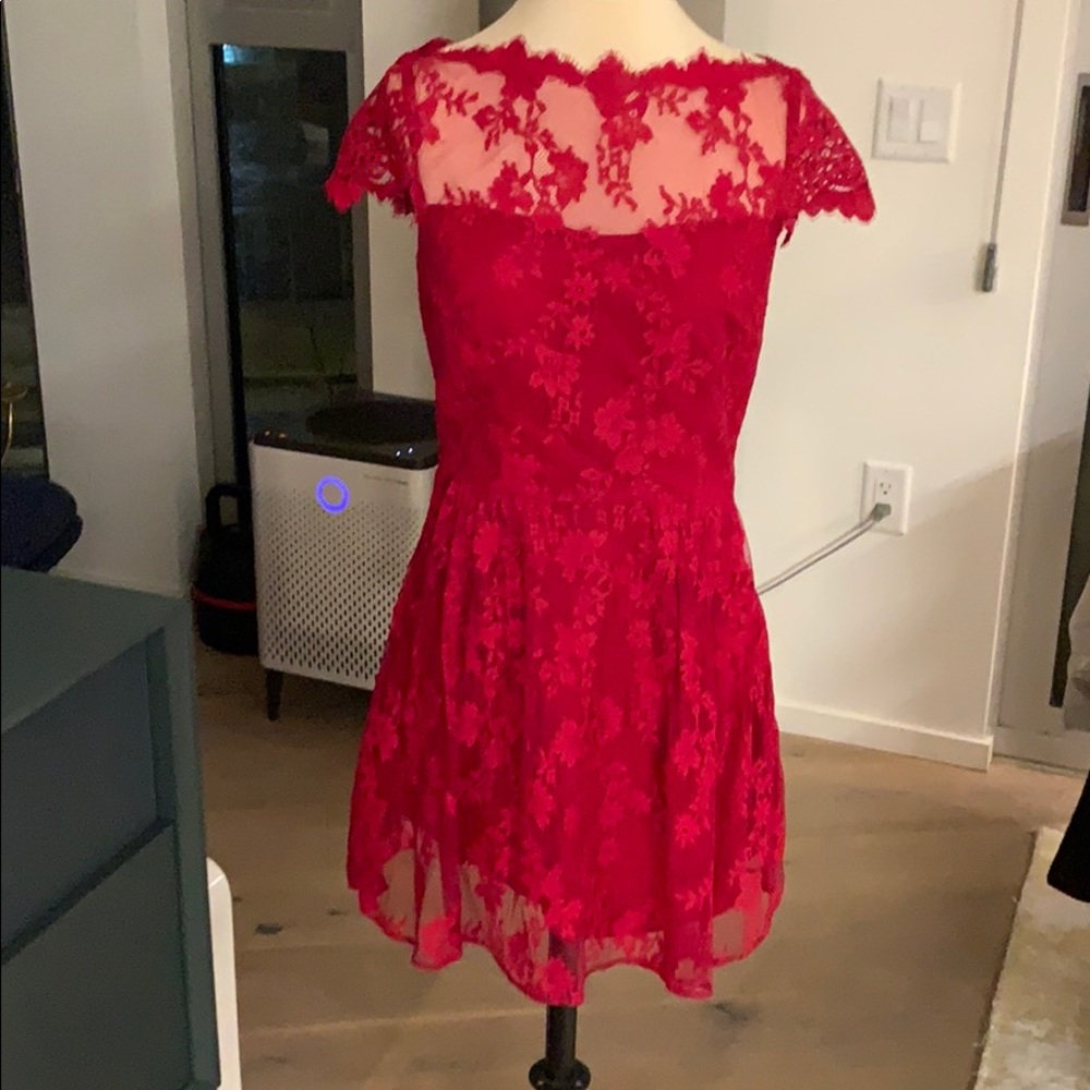 Lace cocktail dress